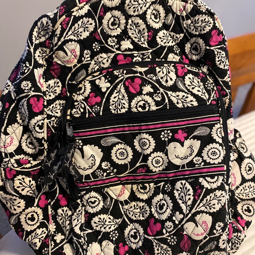 Disney campus backpack